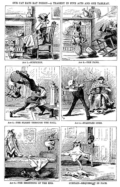 Our Cat Eats Rat Poison: A Tragedy in Five Acts and One Tableau by A. B. Frost